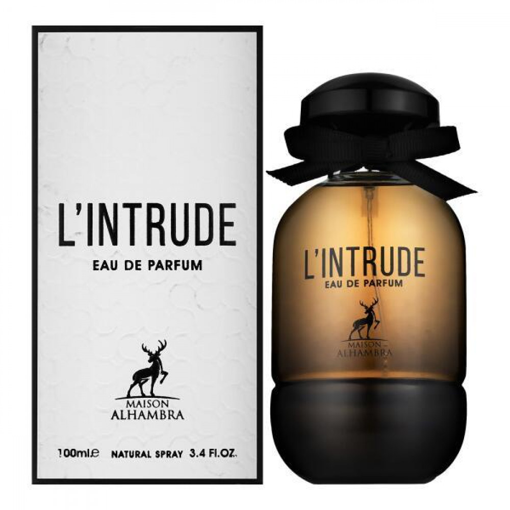 INTRUDE - Image 1